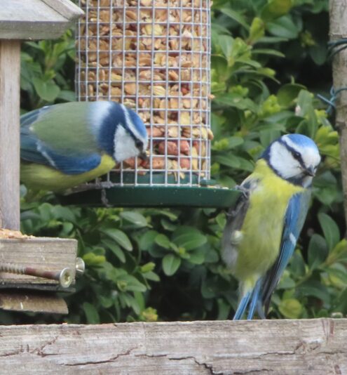 20230403141819_IMG_6705