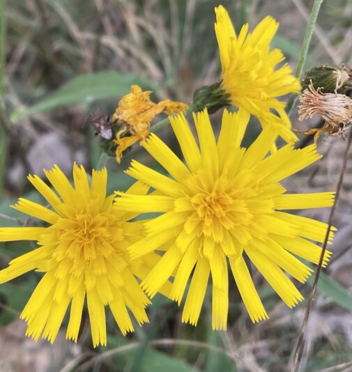 476F329E-3772-4EAD-B21D-4EAA5E9D4E46