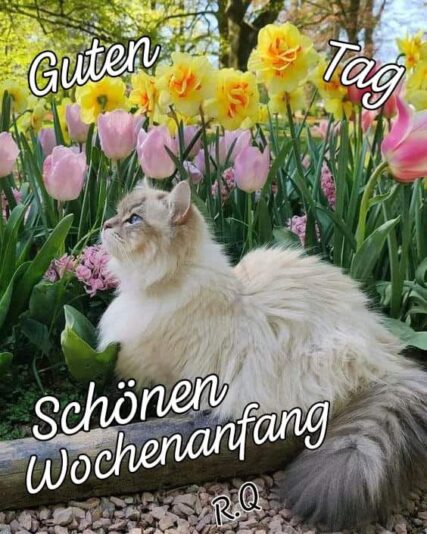 IMG_7219.JPG Wochenanfang