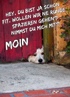 4cb70f022f34d2800930a29705109f66