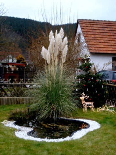 Weihnachten in Weißen - "Kains Hof".