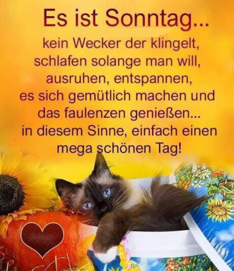 277246637_420412249845033_3188532183329478757_n