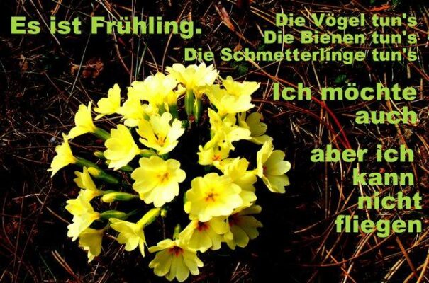 9B4D87E5-3675-4618-ACAD-725466EAB42D