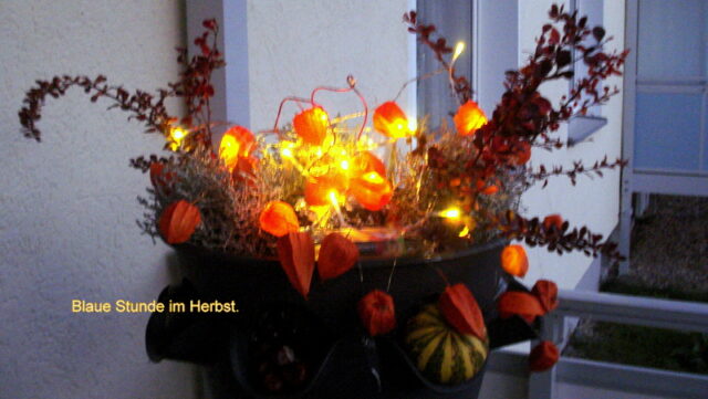 Lampions in der blauen Stunde. 17,20 Uhr