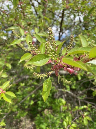 B6969BFB-6A19-4411-8F94-69A832D07AF8