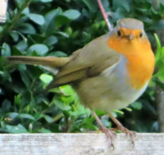 20231024103747_IMG_3648