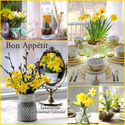 419742912_837695321726105_1630998892829048452_n