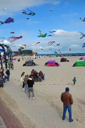 Screenshot_20241003_201046_Gallery