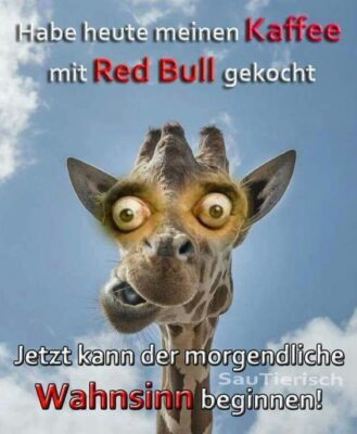 900a629a156b34c55f045c9e2624c304