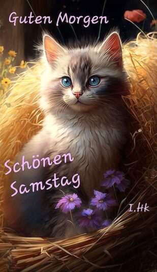 IMG_5209.JPG Samstag Morgen