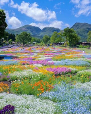 159307073_1367150456986024_2967605098412535497_o