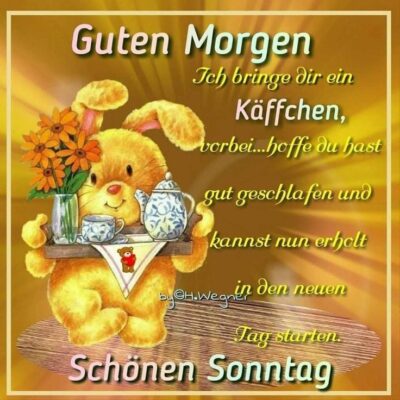 a972c00b-30bc-496c-8dab-b819c71914b5