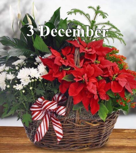 259983135_3066340220270441_7498224607512031443_n