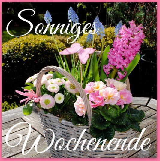 420528098_734517902186340_6622299987854991957_n