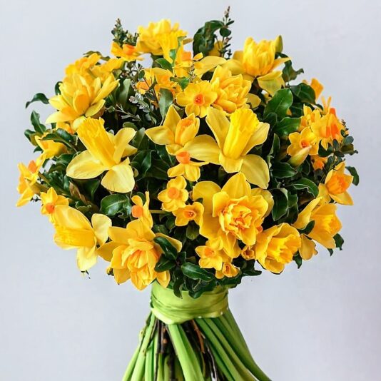 471681676_1135031925293007_3334784485637438783_n