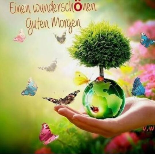 Gallery_1758774443706