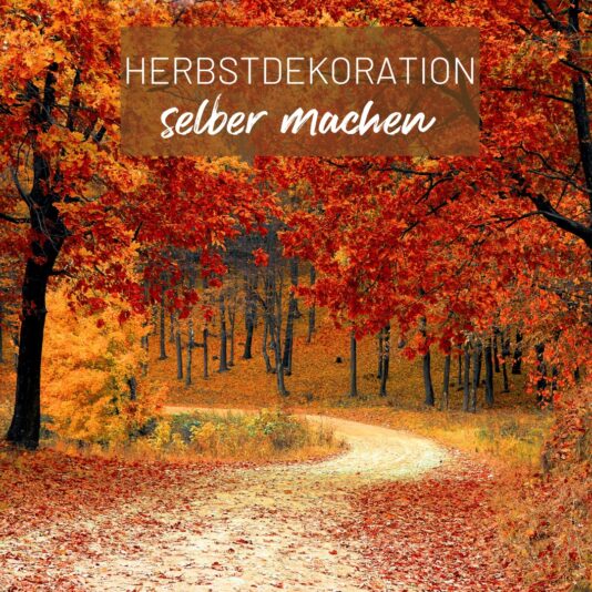 541724389_1068700118764985_8970524898349220324_n