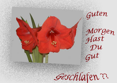 GutGeschlafen