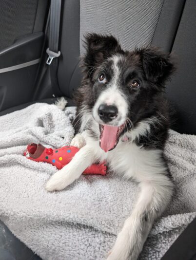 PXL_20240610_140202672