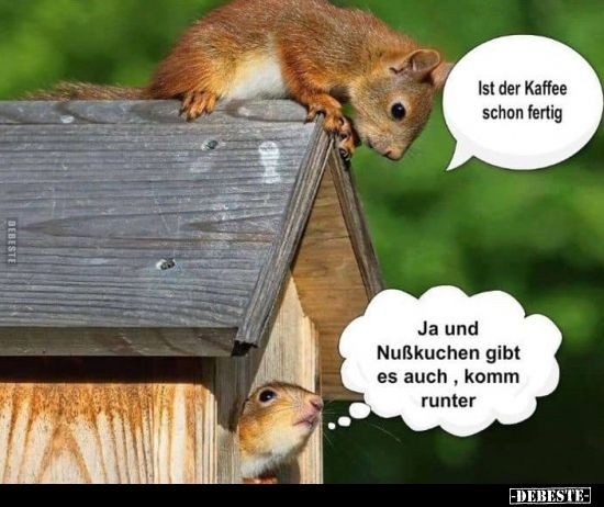 265005102_366124181963309_1053106511361859706_n