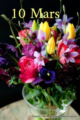 159412600_4034397183277014_645817439809391278_n