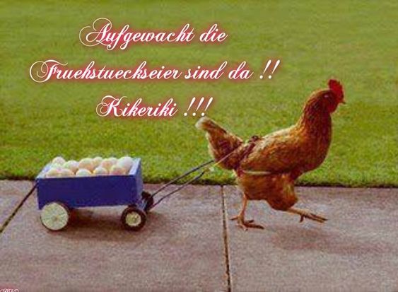 dd098d723498fdf828d45358f06e4498