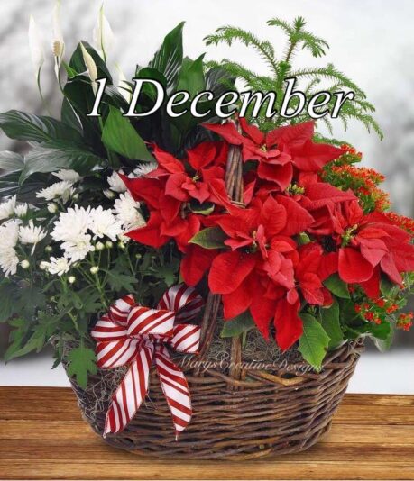 258195749_3064490650455398_6208281251503056561_n (1)