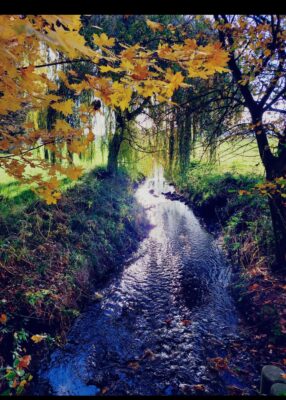 Screenshot_20251107_111410_WhatsApp