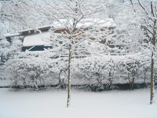 Ein tag mit geli auf der EGA 2018 030