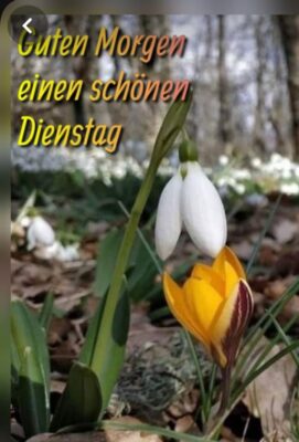 6d8760f3-d679-4192-9312-6a9a5430f52f