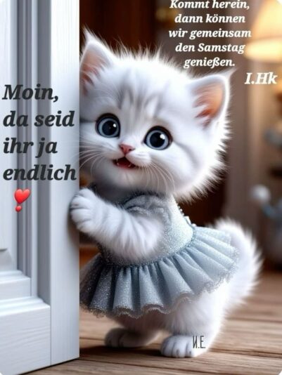 99c01f4889495476d33083805c87d2aa