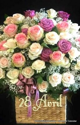 179321367_4180998368616894_5685929310577935904_n