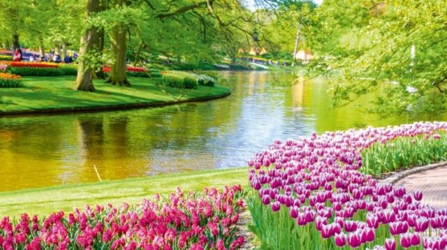 springtime-in-holland-and-the-romantic-rhine-valley-port-to-port-cruise-tour-2-449570_1553148006