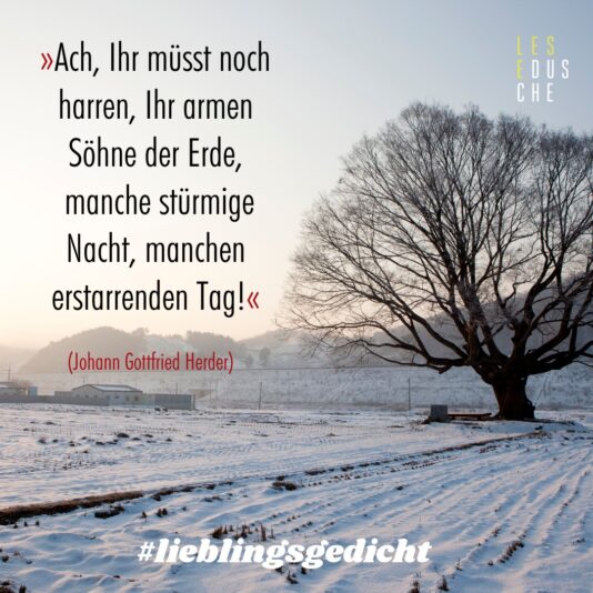 272026156_406183904529373_753579218187042594_n