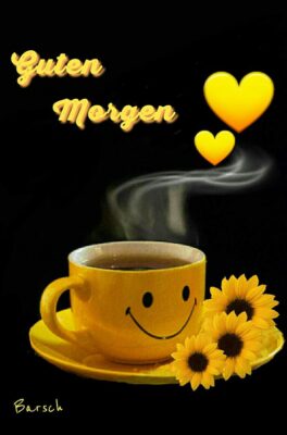 e32d87b6-64e8-4f31-86dd-471e364da3dd