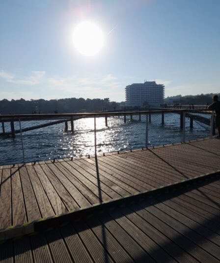 Screenshot_20240926_141111_Photos