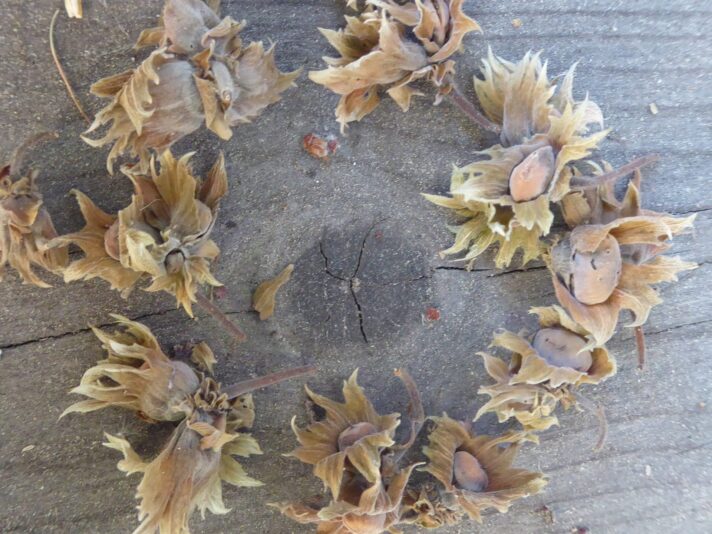 Montag 1.8.2022 (18)