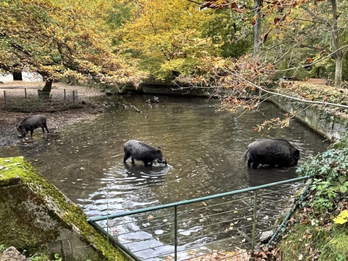 AFB8F342-DFEE-4C49-B244-3BD747382F6F