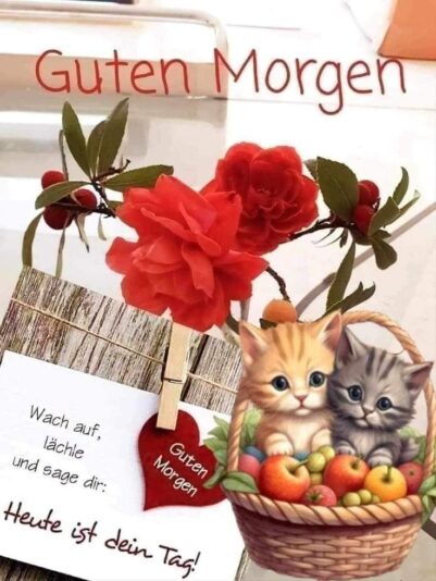 431323104_1386891072705251_6440193608314244488_n