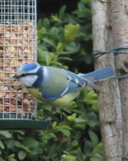 20230403141957_IMG_6711