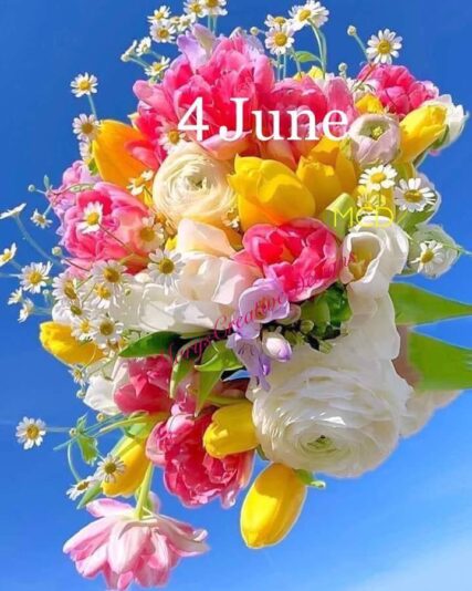 189361118_2924571067780691_8177216546306176223_n (1)