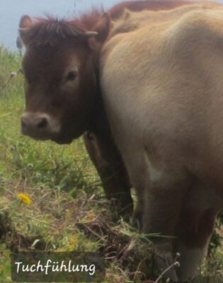 Screenshot_20230201_185343_Gallery