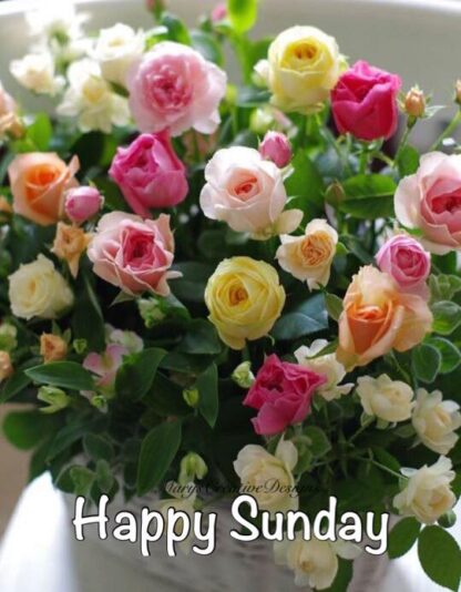 186009514_2908629979374800_7410087459089543167_n (1)