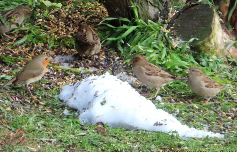 20231209123918_IMG_5391