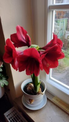 IMG_20250104_083851474