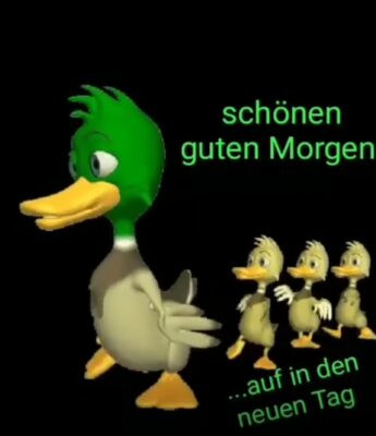 Gallery_1758519293620