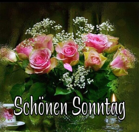 311819071_1730047834045240_6838050002168381652_n (2)