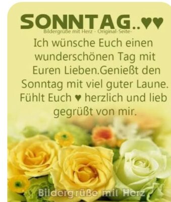 Screenshot_20251116_111656_Google