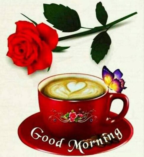 183637627_1003680157039798_2980755658382229297_n