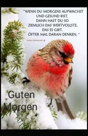 9339bbc323ea2e454af7014a3c6d9490